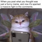 Funny Cat Memes