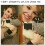 Funny Cat Memes