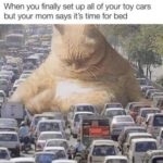 Funny Cat Memes