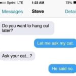 Funny Cat Memes