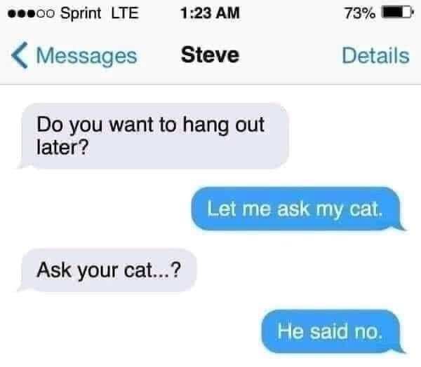 Funny Cat Memes