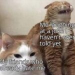 Funny Cat Memes