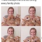 Funny Cat Memes