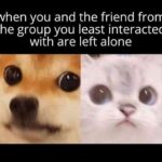 Funny Cat Memes