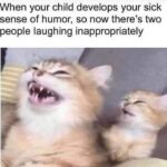 Funny Cat Memes