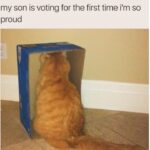 Funny Cat Memes