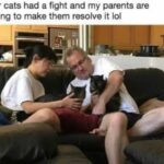 Funny Cat Memes