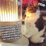 Funny Cat Memes