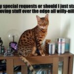 Funny Cat Memes