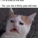 Funny Cat Memes