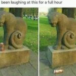 Funny Cat Memes