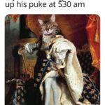 Funny Cat Memes