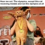 Funny Cat Memes