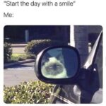 Funny Cat Memes