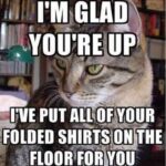 Funny Cat Memes