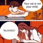 Funny Cat Memes