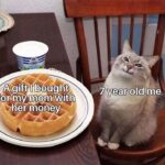 Funny Cat Memes