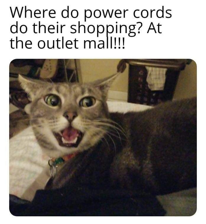 Funny Cat Memes