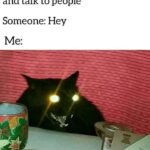 Funny Cat Memes