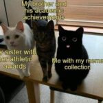 Funny Cat Memes