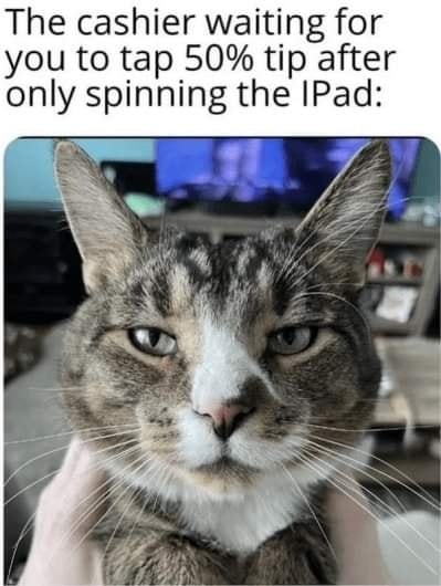 Funny Cat Memes