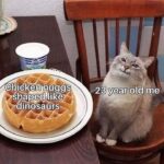 Funny Cat Memes