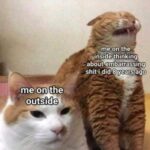 Funny Cat Memes