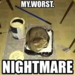 Funny Cat Memes