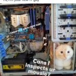 Funny Cat Memes