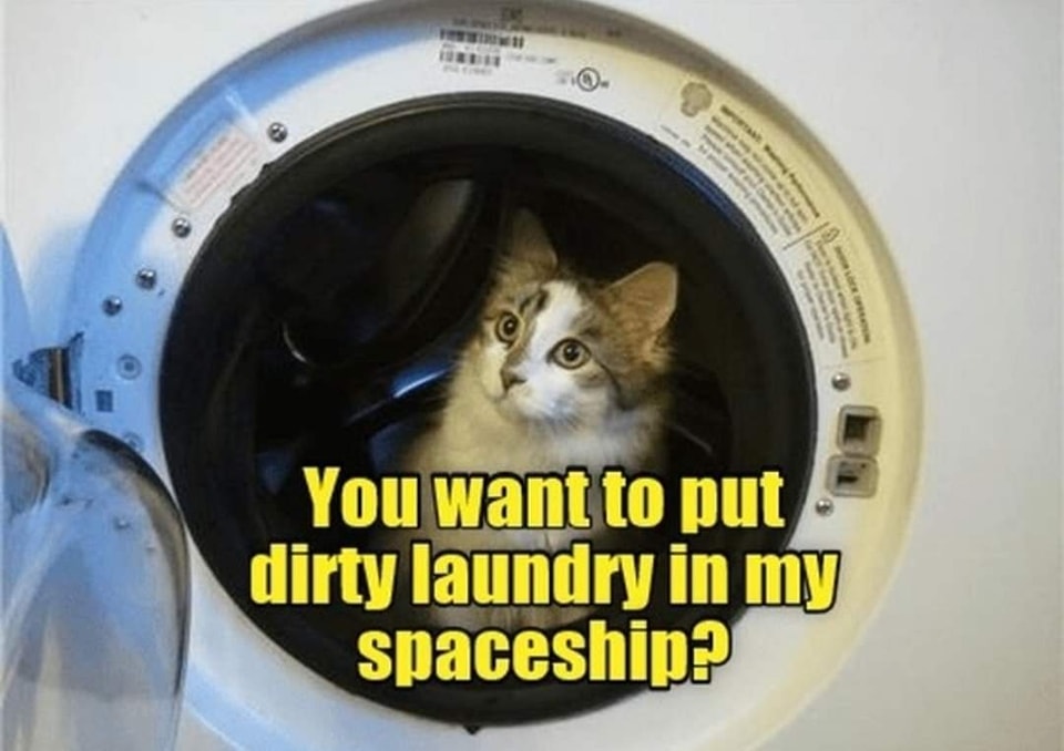 Funny Cat Memes