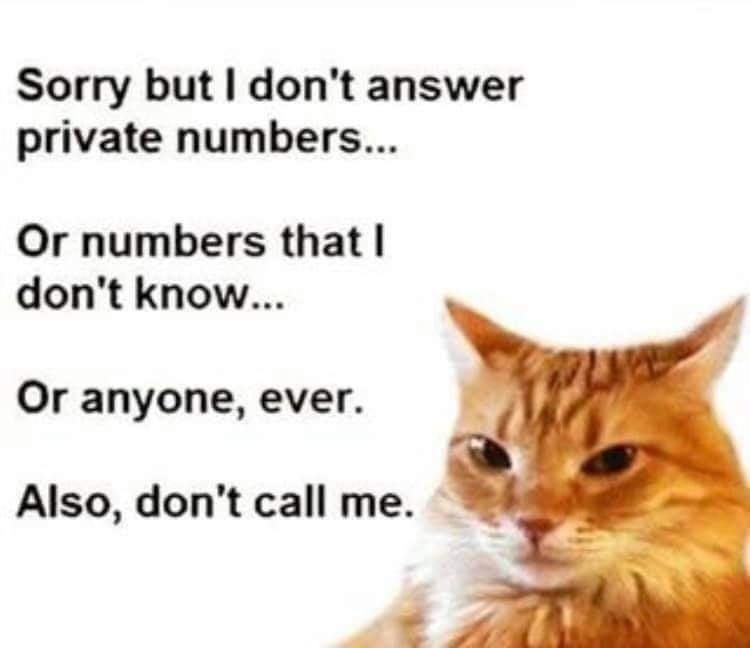 Funny Cat Memes