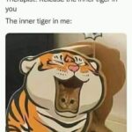 Funny Cat Memes