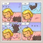 Funny Cat Memes