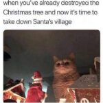 Funny Cat Memes