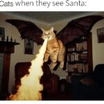 Funny Cat Memes