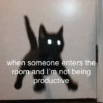 Funny Cat Memes