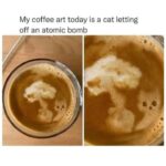 Funny Cat Memes