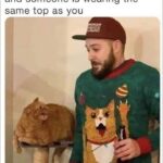 Funny Cat Memes