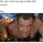 Funny Cat Memes