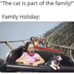 Funny Cat Memes