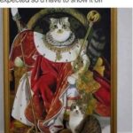 Funny Cat Memes