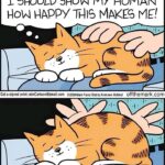 Funny Cat Memes