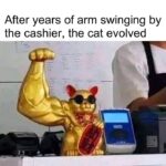 Funny Cat Memes