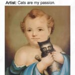 Funny Cat Memes