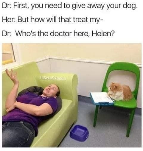 Funny Cat Memes
