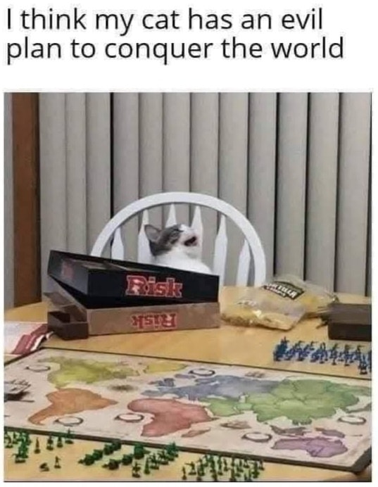 Funny Cat Memes