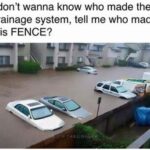 Funny Cat Memes
