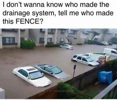 Funny Cat Memes