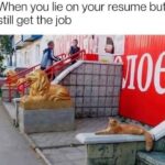 Funny Cat Memes