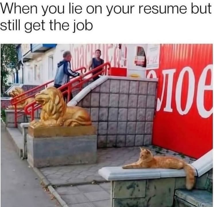 Funny Cat Memes